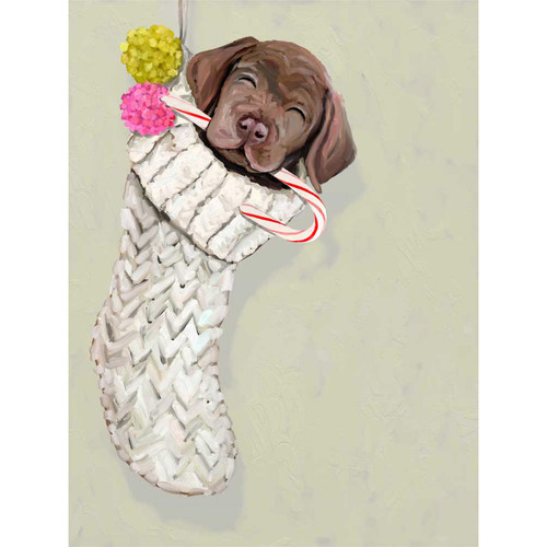 Holiday - Chocolate Lab Pup In Stocking Stretched Canvas Wall Art