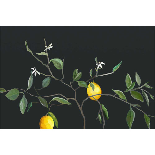 Lemon Branch Stretched Canvas Wall Art