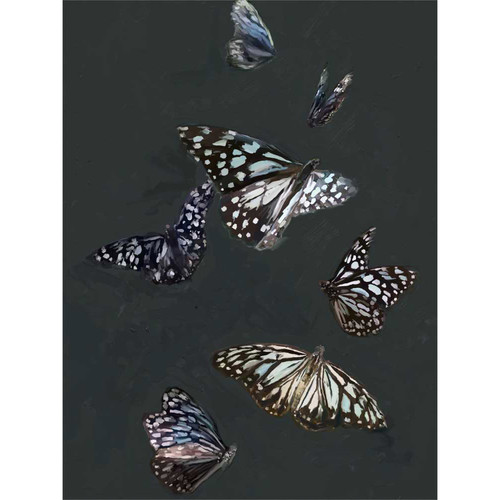 Blue Tiger Butterflies Stretched Canvas Wall Art
