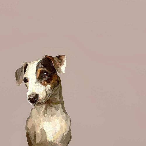 Best Friend - Jack Russell Gaze Stretched Canvas Wall Art