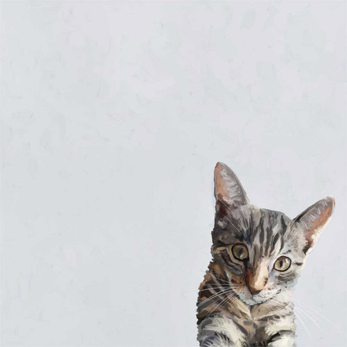 Feline Friends - Evie The Cat Stretched Canvas Wall Art