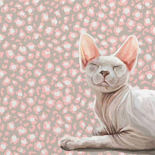 Feline Friends - Hairless Cat Stretched Canvas Wall Art