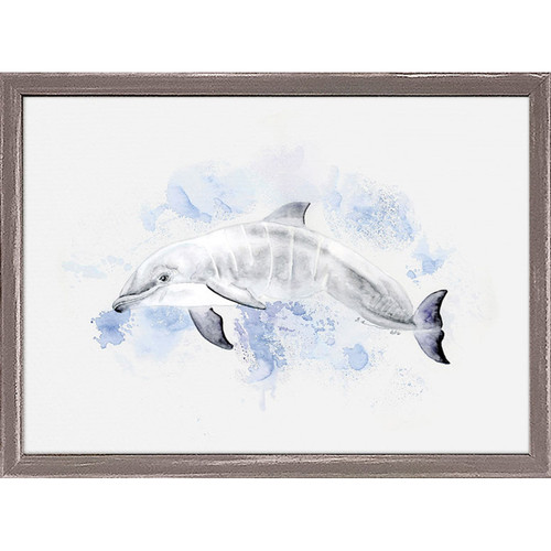 Baby Dolphin Portrait Mini Framed Canvas