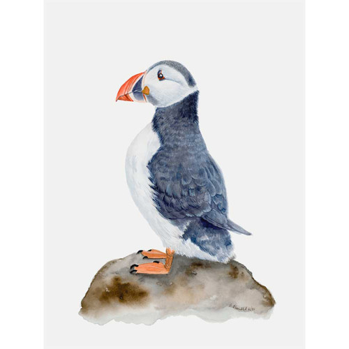 Puffin Portrait Stretched Canvas Wall Art