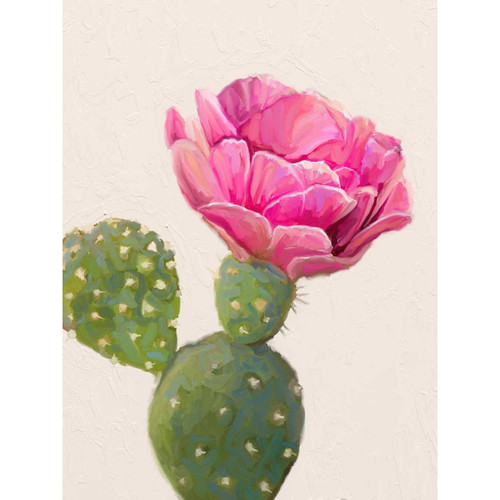 Cactus Garden - Big Bold Bloom Stretched Canvas Wall Art