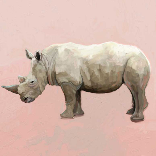 Rhino On Deep Blush Stretched Canvas Wall Art