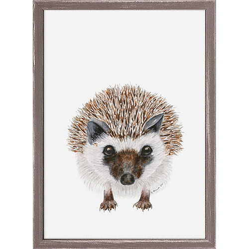 Baby Hedgehog Portrait Mini Framed Canvas