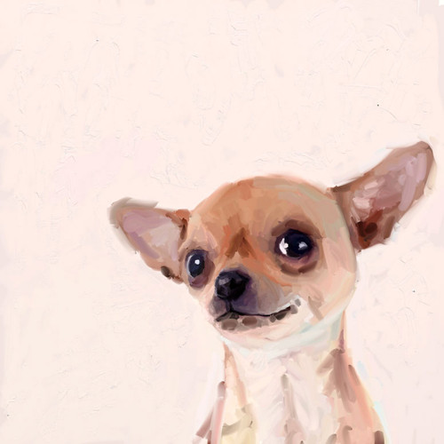 Best Friend - Chihuahua Close Up Stretched Canvas Wall Art