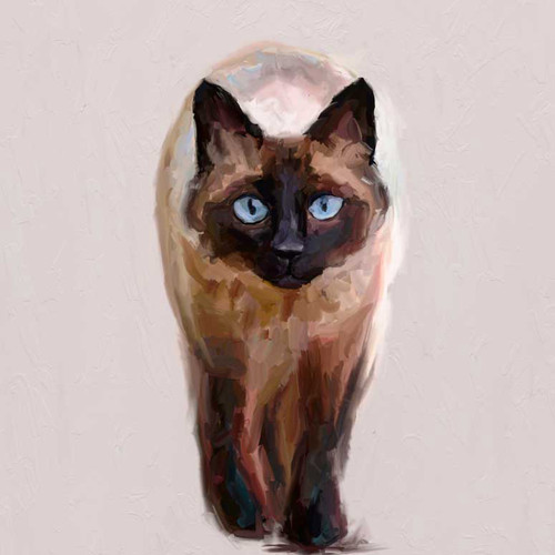 Feline Friends - Siamese Prowl Stretched Canvas Wall Art