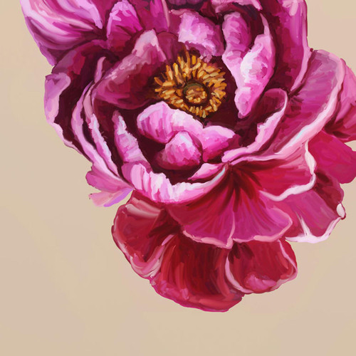 Floral Portraits - Peony II Stretched Canvas Wall Art