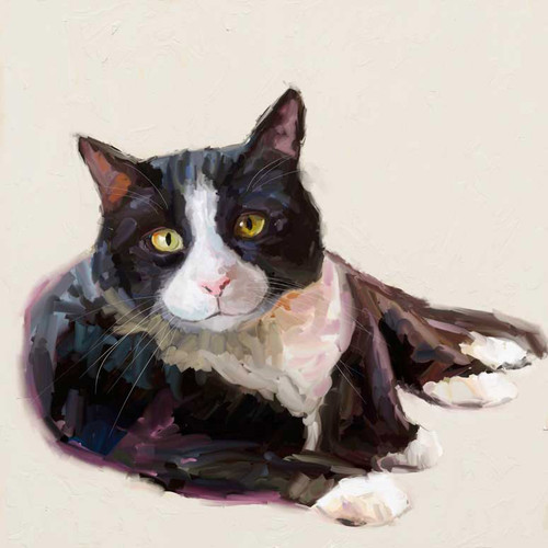 Feline Friends - Tuxedo Cat Stretched Canvas Wall Art