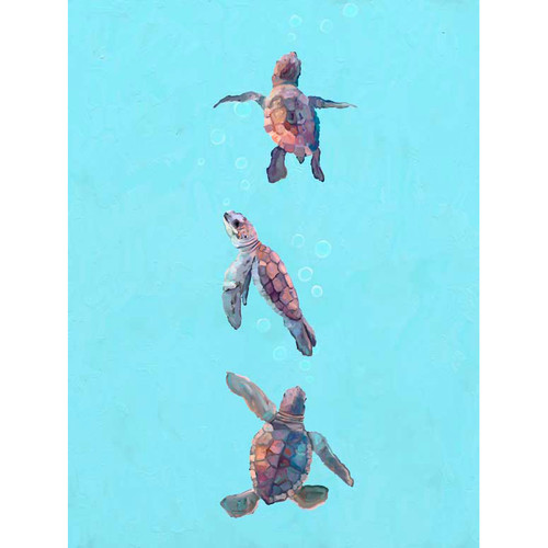 Swimming Baby Turtles Stretched Canvas Wall Art
