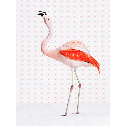 Flamingo On Dots Stretched Canvas Wall Art
