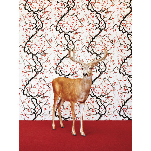 Deer On Floral Pattern Stretched Canvas Wall Art