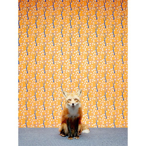 Fox On Orange Stretched Canvas Wall Art