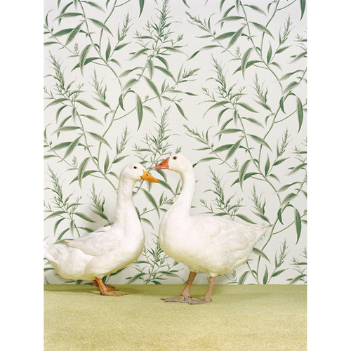 Geese On Floral Pattern Stretched Canvas Wall Art