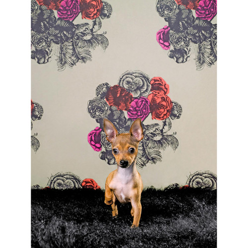 Dog Collection - Chihuahua On Floral Stretched Canvas Wall Art