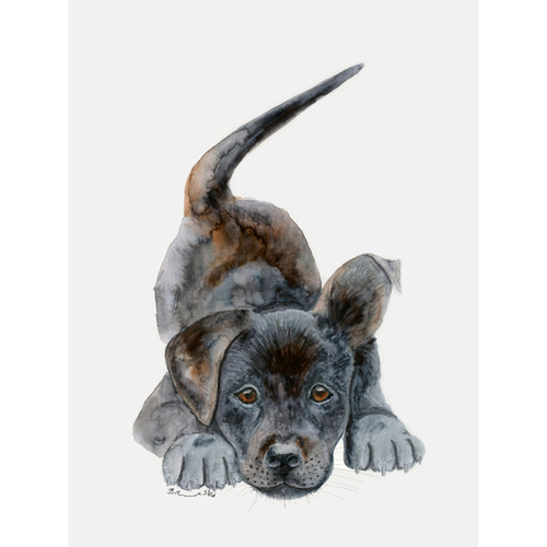 Playful Puppy Portrait Stretched Canvas Wall Art