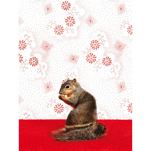 Squirrel on Pattern Stretched Canvas Wall Art
