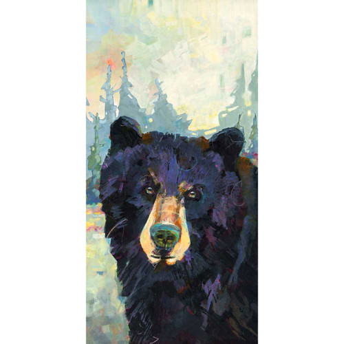Bright Eyes, Black Bear Stretched Canvas Wall Art