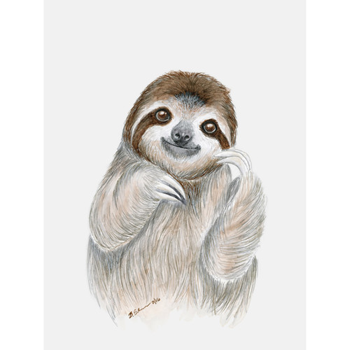 Sloth Portrait Stretched Canvas Wall Art