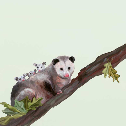 Opossum Family Stretched Canvas Wall Art