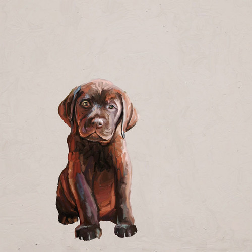 Best Friend - Brown Lab Pup Stretched Canvas Wall Art