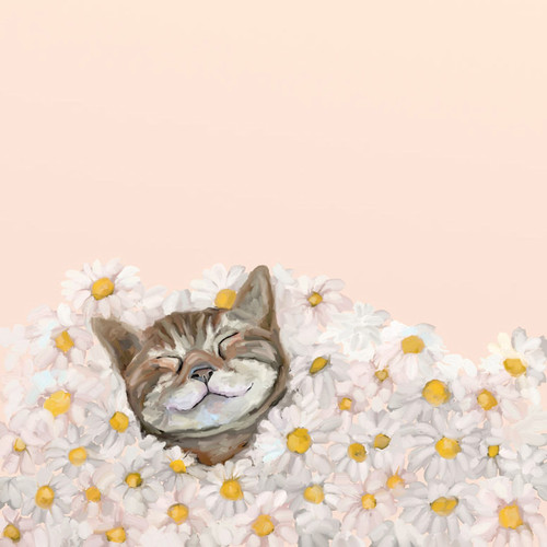 Feline Friends - Happy As A Cat In Daisies Stretched Canvas Wall Art