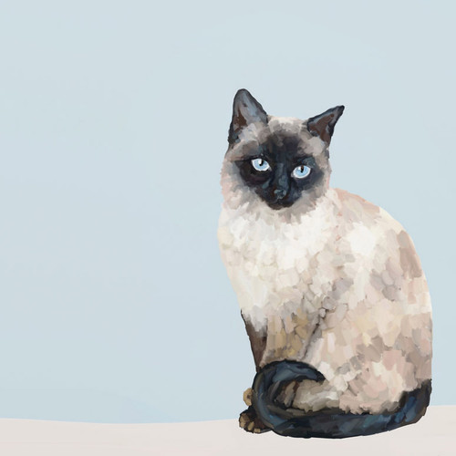 Feline Friends - Siamese Cat 2 Stretched Canvas Wall Art
