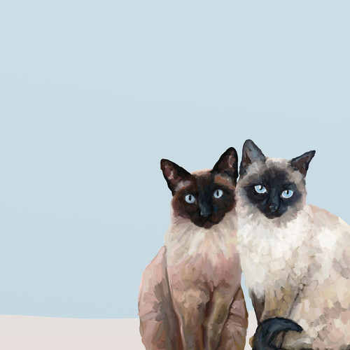 Feline Friends - Siamese Cat Duo Stretched Canvas Wall Art