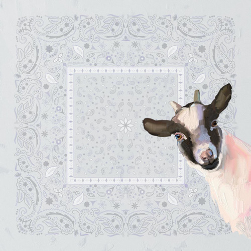 Baby Goat - Bandana Stretched Canvas Wall Art