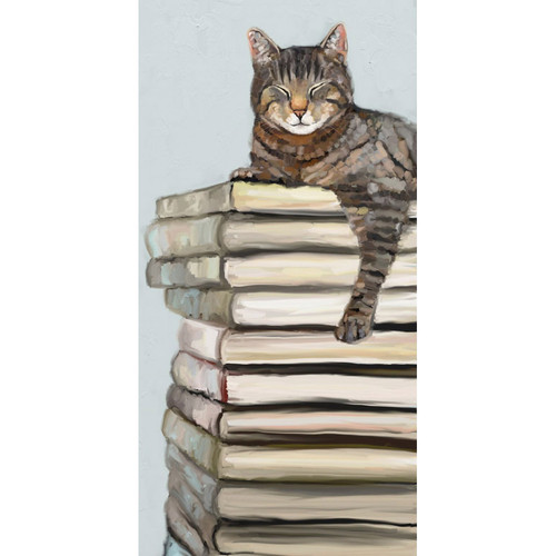 Cat On Books 2 Stretched Canvas Wall Art