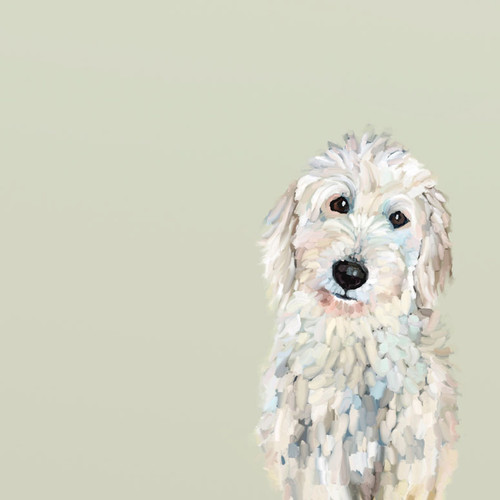 Best Friend - White Golden Doodle Stretched Canvas Wall Art