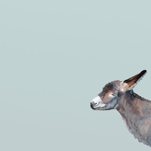 Baby Donkey On Blue Stretched Canvas Wall Art