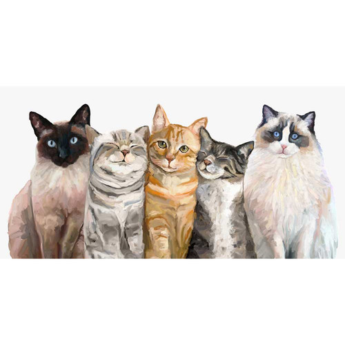 Feline Friends - Cat Bunch Stretched Canvas Wall Art