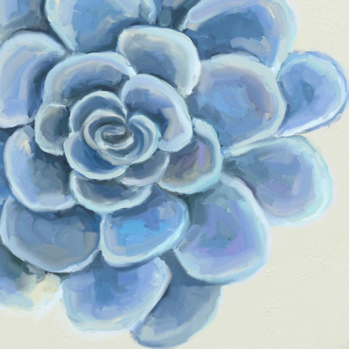 Garden Succulent Stretched Canvas Wall Art