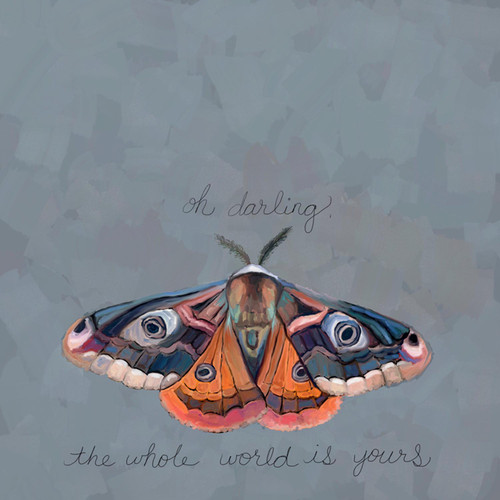 Inspirational Moths - The World Is Yours Stretched Canvas Wall Art