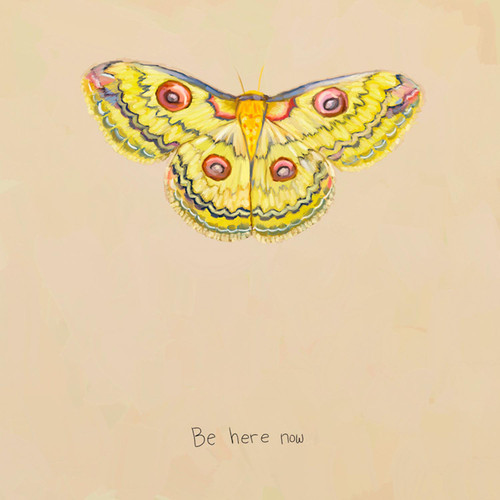 Inspirational Moths - Be Here Now Stretched Canvas Wall Art
