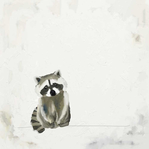 Baby Raccoon Kit Stretched Canvas Wall Art