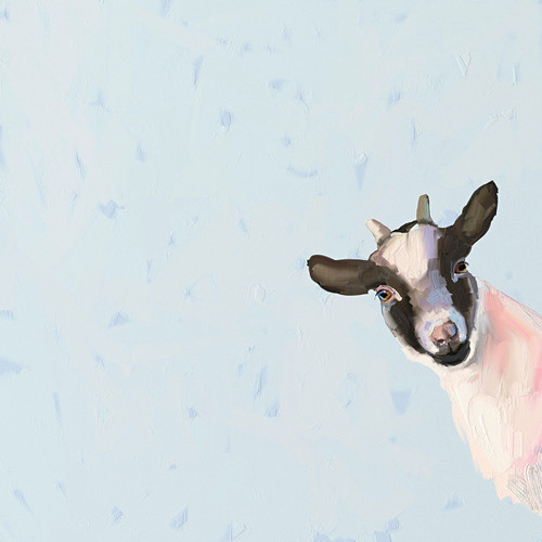 Baby Goat Stretched Canvas Wall Art