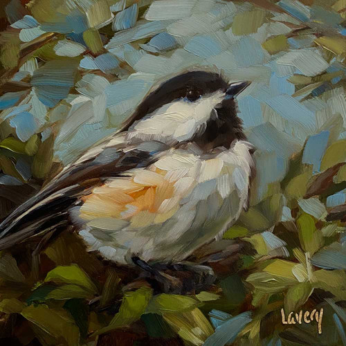 Chickadee In Bush Stretched Canvas Wall Art