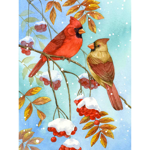 Holiday - Snow & Scarlet Stretched Canvas Wall Art