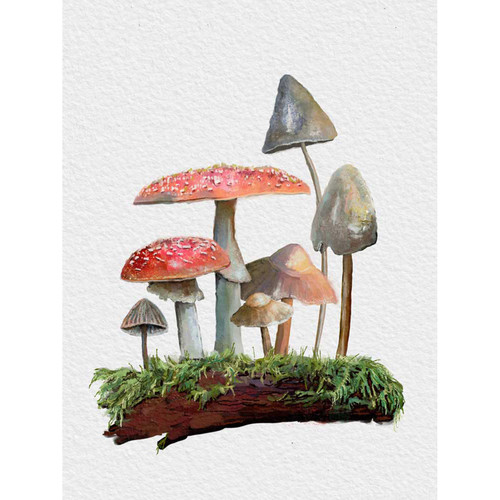 Forest Magic - Mushroom Garden I Stretched Canvas Wall Art