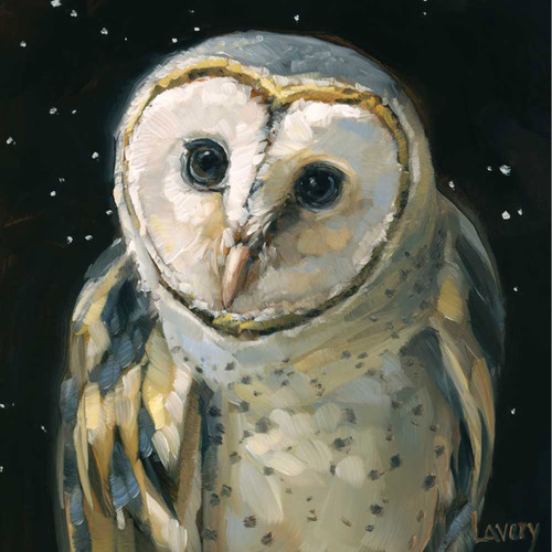 Look Of The Night Owl Stretched Canvas Wall Art