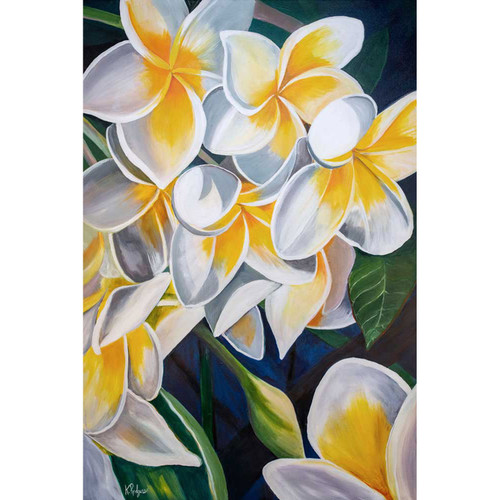 Plumeria Stretched Canvas Wall Art