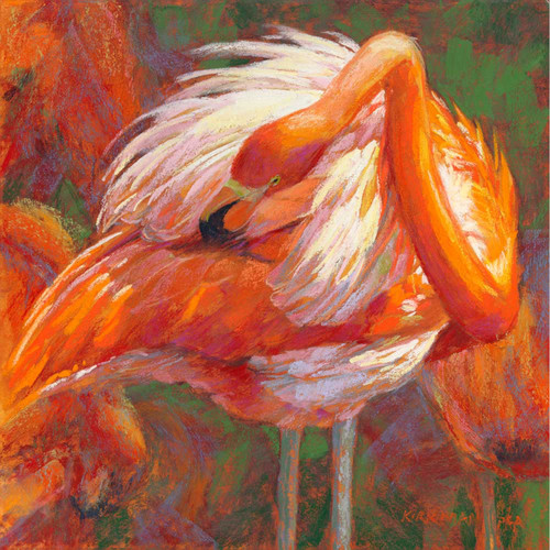 Preening Flamingo Stretched Canvas Wall Art