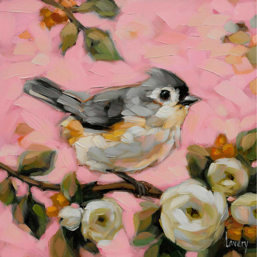 Tufted Titmouse On Pink Stretched Canvas Wall Art