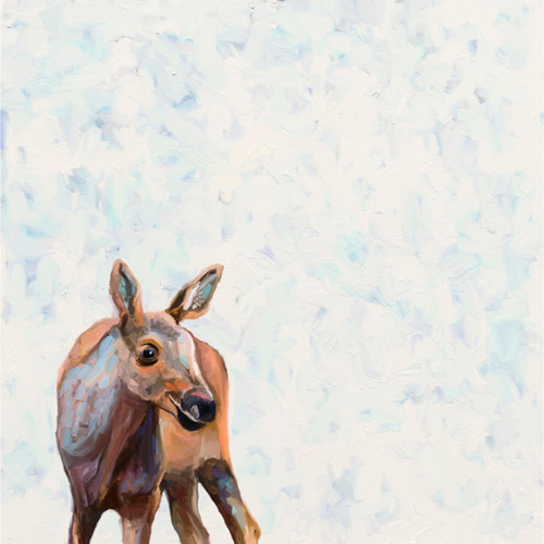 Baby Moose Stretched Canvas Wall Art