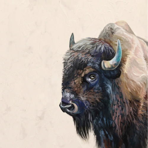 Adult Bison Stretched Canvas Wall Art