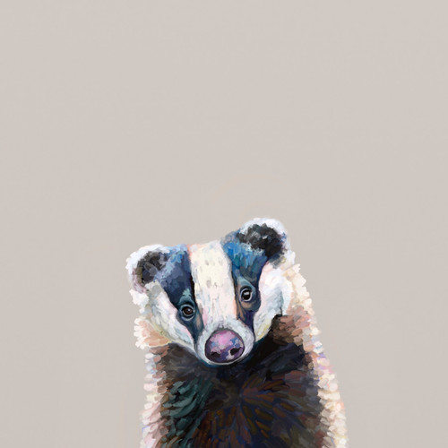 Bemused Badger Stretched Canvas Wall Art